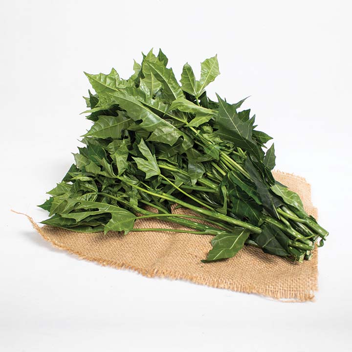 Daun Pepaya Jepang 1kg