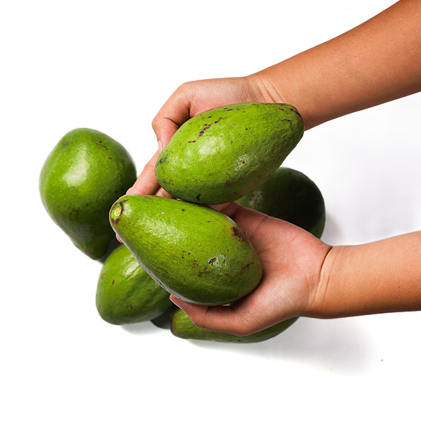 Alpukat Kaldera Toba (Alpukat Mentega) 1kg