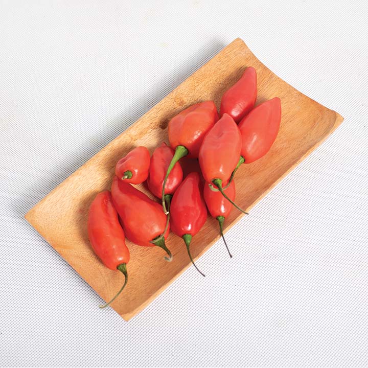 Cabai Gendot Merah 1kg