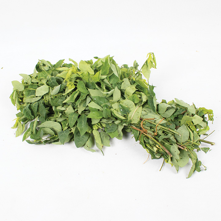 Daun Katuk 1kg